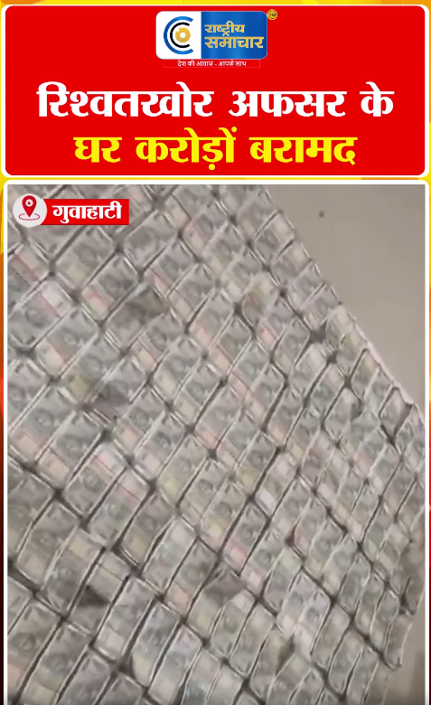 Video Image