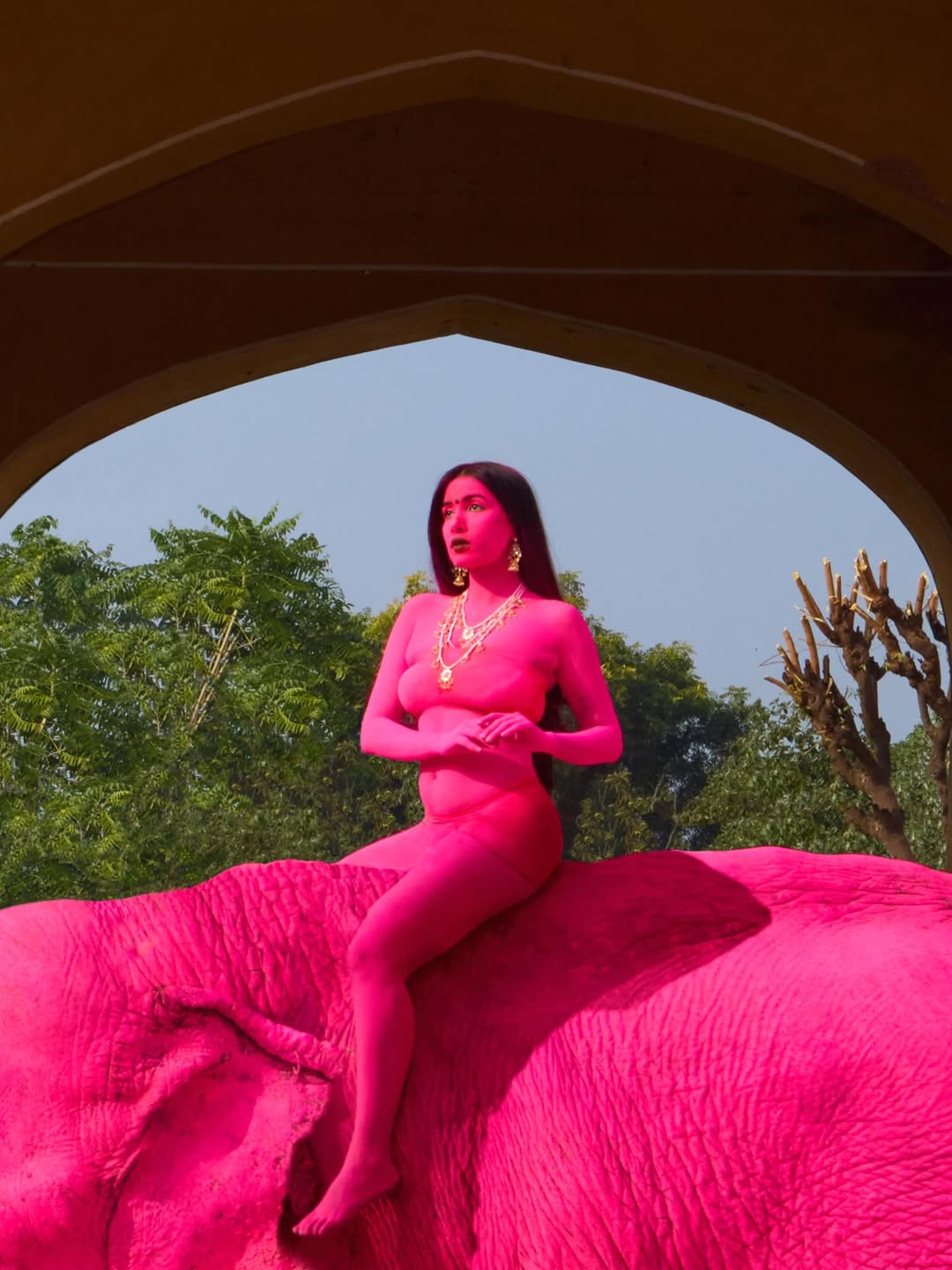 Jaipur में फोटो शूट के लिए हाथियों को रंग दिया