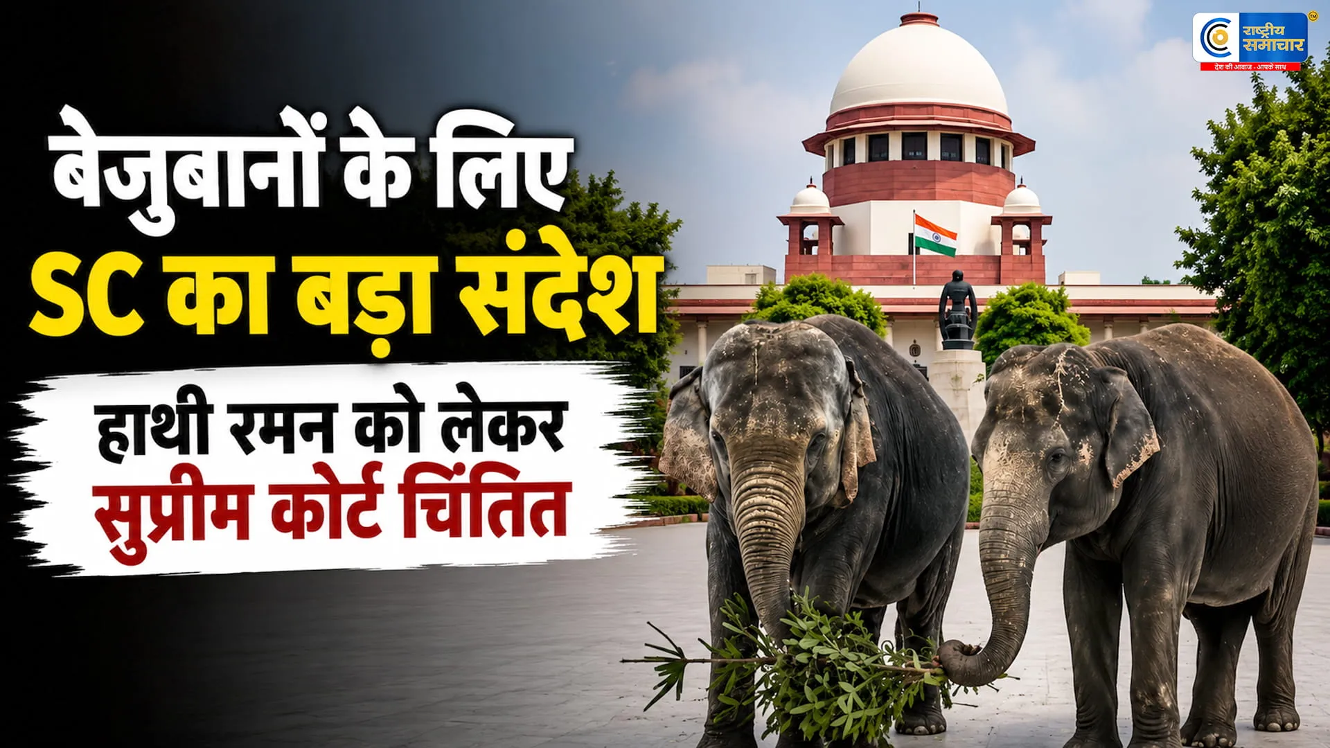 हाथी 'रमन' को लेकर सख्त हुआ सुप्रीम कोर्टकेरल सरकार को कस्टडी लेने का आदेश SC ने कहा- बेजुबान जानवरों की भलाई सबसे जरूरी