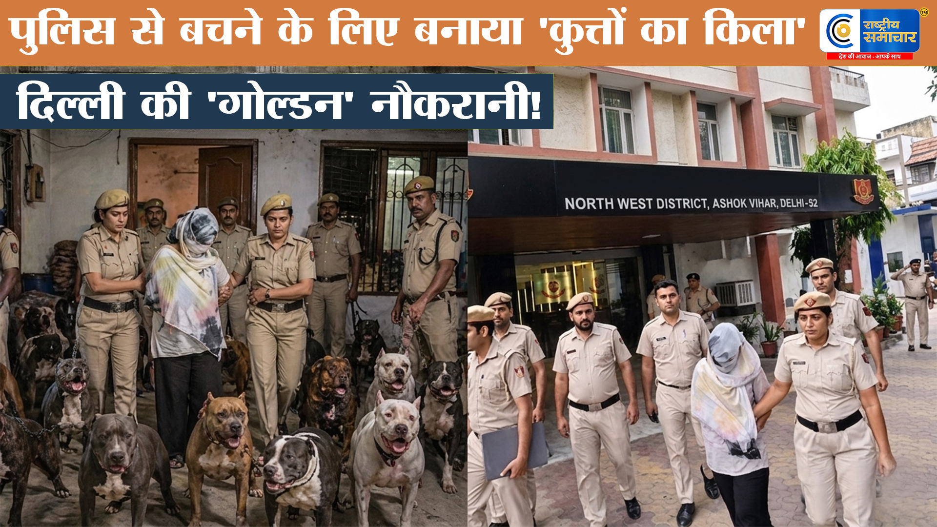 नौकरानी नहीं 'गोल्ड लेडी'कहिए! दिल्ली की सोनिया का अजीबोगरीब कारनामा, पुलिस को रोकने के लिए तैयार की कुत्तों की 'सेना' 
