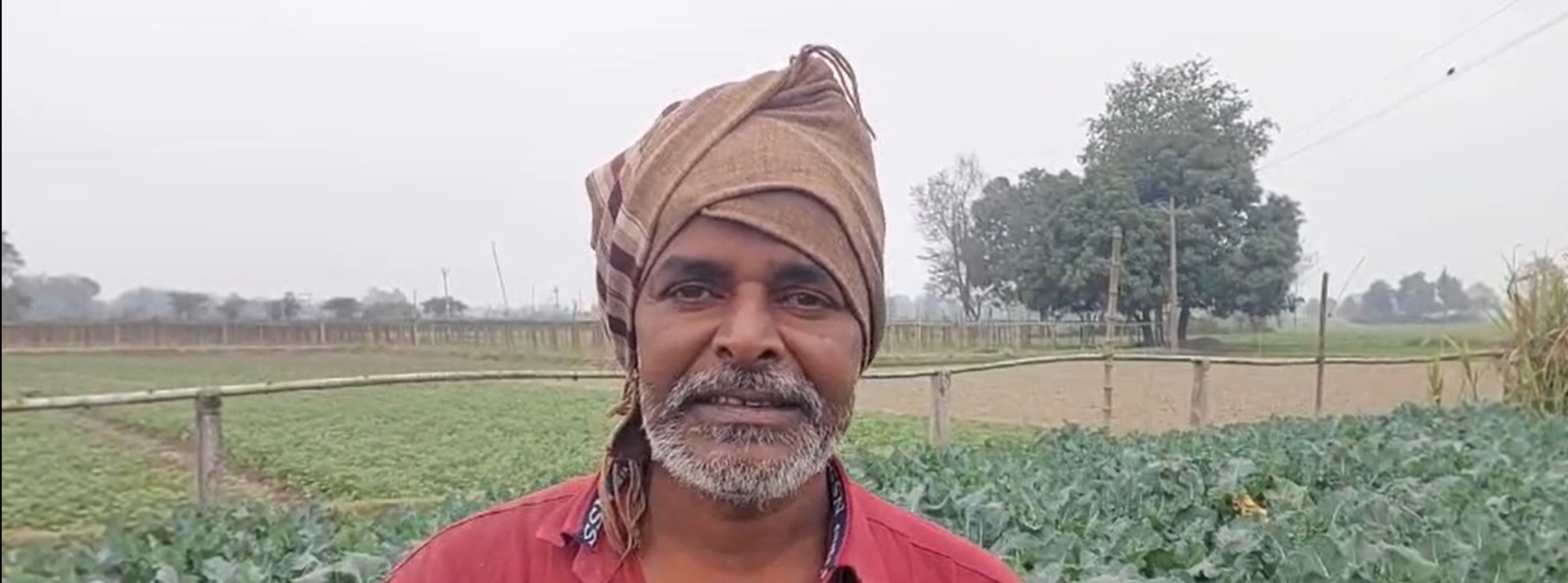सब्जी उगा कर कैसे लखपति बन रहे बिहार के किसान, इनकी कहानी सुनकर आप भी चौंक जायेंगेसीतामढी के बथनाहा प्रखंड के एक सफल किसान की कहानी 