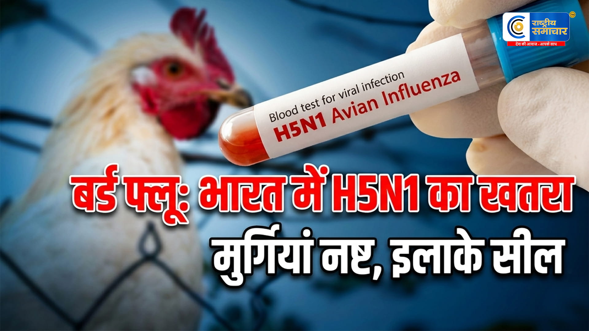 कर्नाटक में बर्ड फ्लू का खतरा!बेंगलुरु के पास H5N1 की पुष्टि,हजारों मुर्गियां नष्ट,कई इलाके सील,पोल्ट्री फार्म में संक्रमण के बाद हड़कंप