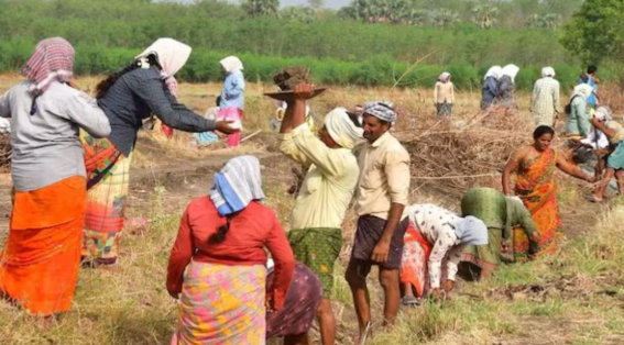  नया ग्रामीण रोजगार कानून :सरकार कर रही मनरेगा की जगह नई रोजगार योजना वीबी जी राम जी बिल लाने की तैयारी 