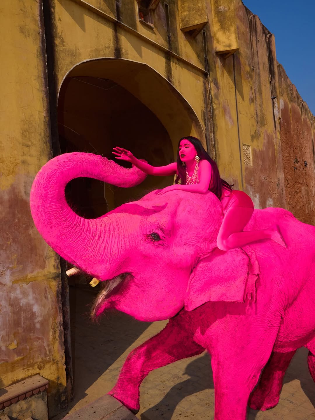 Jaipur में फोटो शूट के लिए हाथियों को रंग दिया