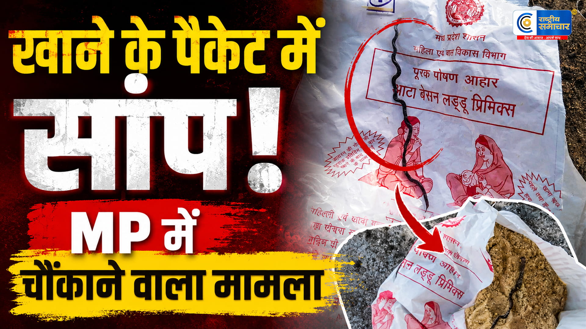 MP:गर्भवती महिला के पोषण आहार पैकेट में मिला सांप का मृत बच्चा, पांढुर्णा में मचा हड़कंप