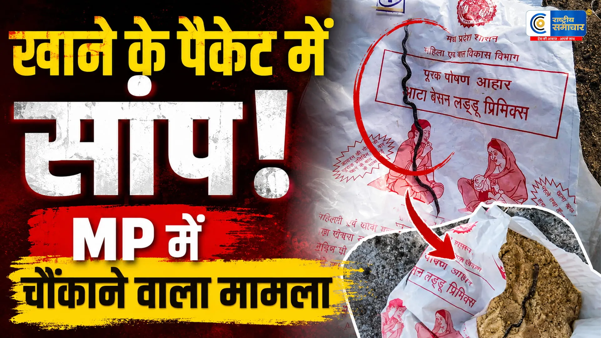 MP:गर्भवती महिला के पोषण आहार पैकेट में मिला सांप का मृत बच्चा, पांढुर्णा में मचा हड़कंप