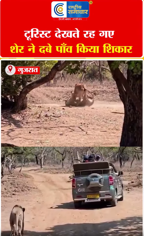Video Image