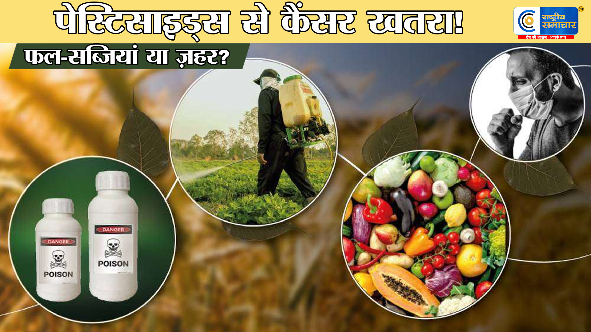 क्या पेस्टिसाइड्स से बढ़ता है : कैंसर का खतरा? जानिए कितनी खतरनाक हैं कीटनाशक दवाएं 