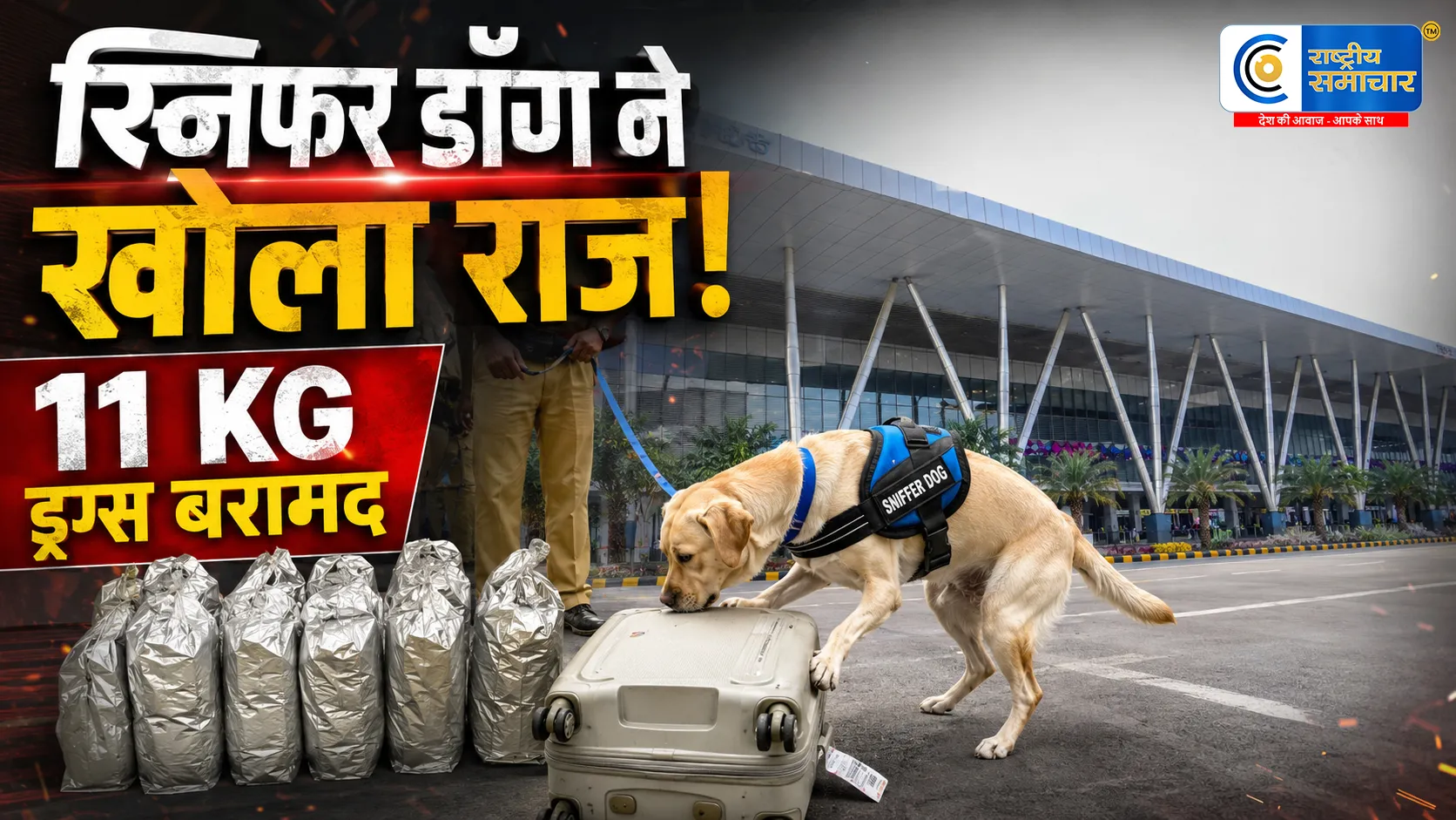 अहमदाबाद एयरपोर्ट पर 10 करोड़ की ड्रग्स बरामदबैंकॉक से आए यात्री को कस्टम्स ने दबोचा
