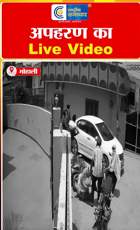 Video Image