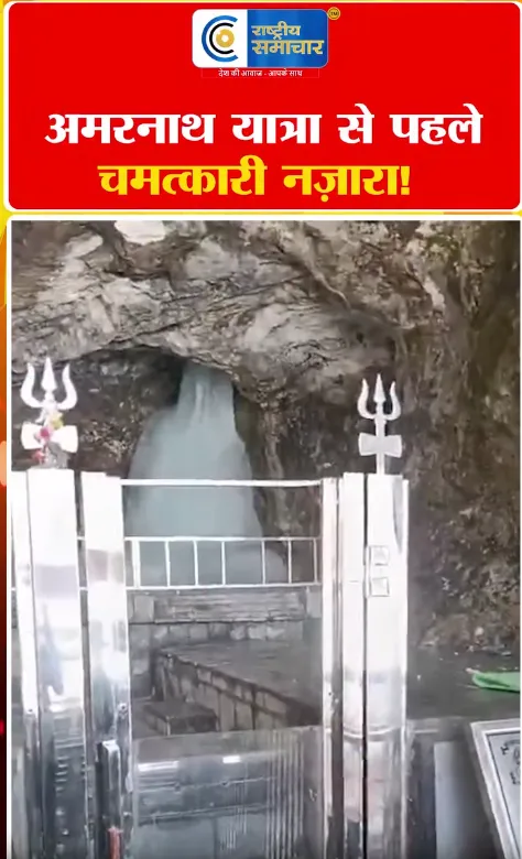 Video Image