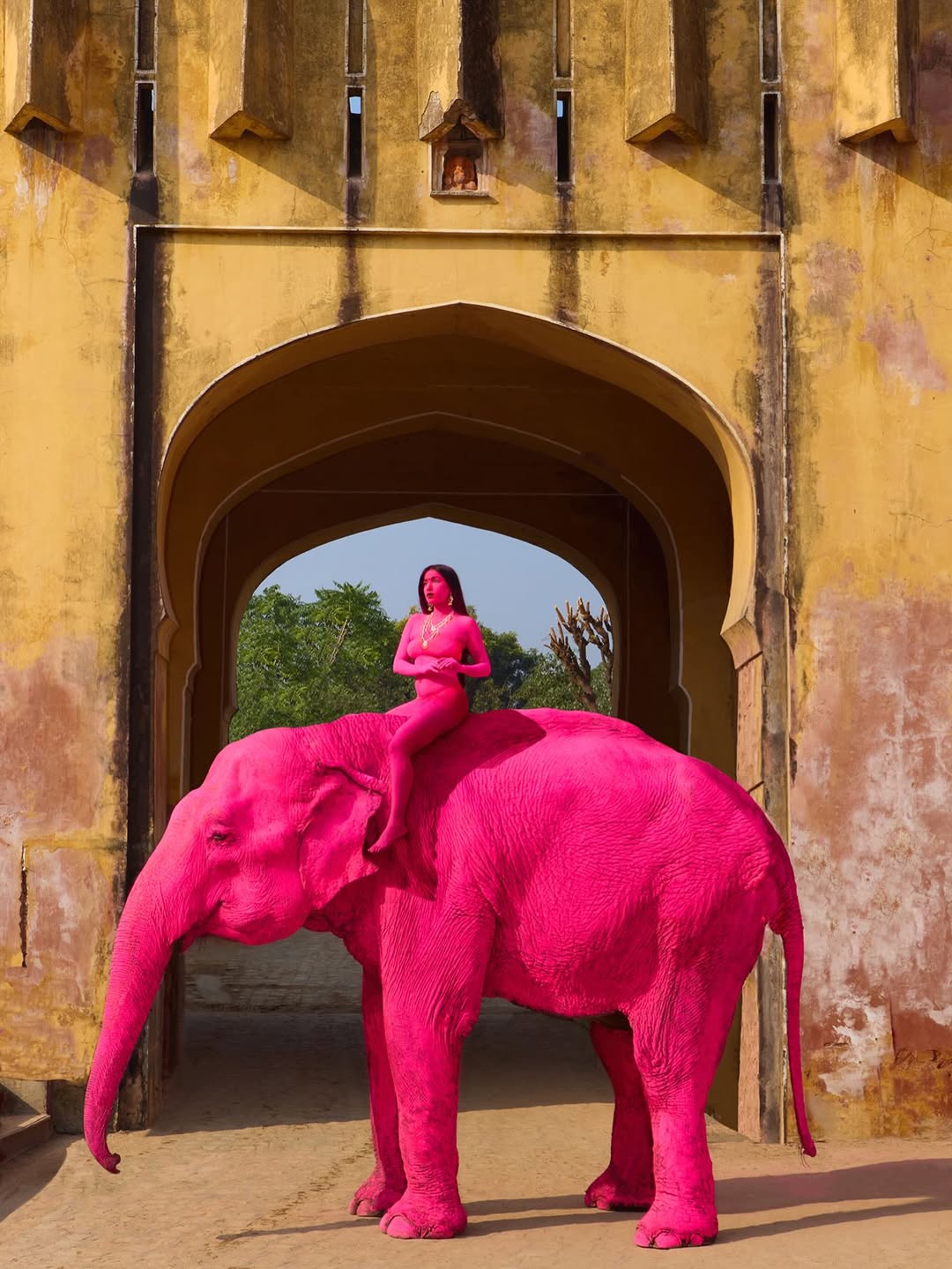 Jaipur में फोटो शूट के लिए हाथियों को रंग दिया