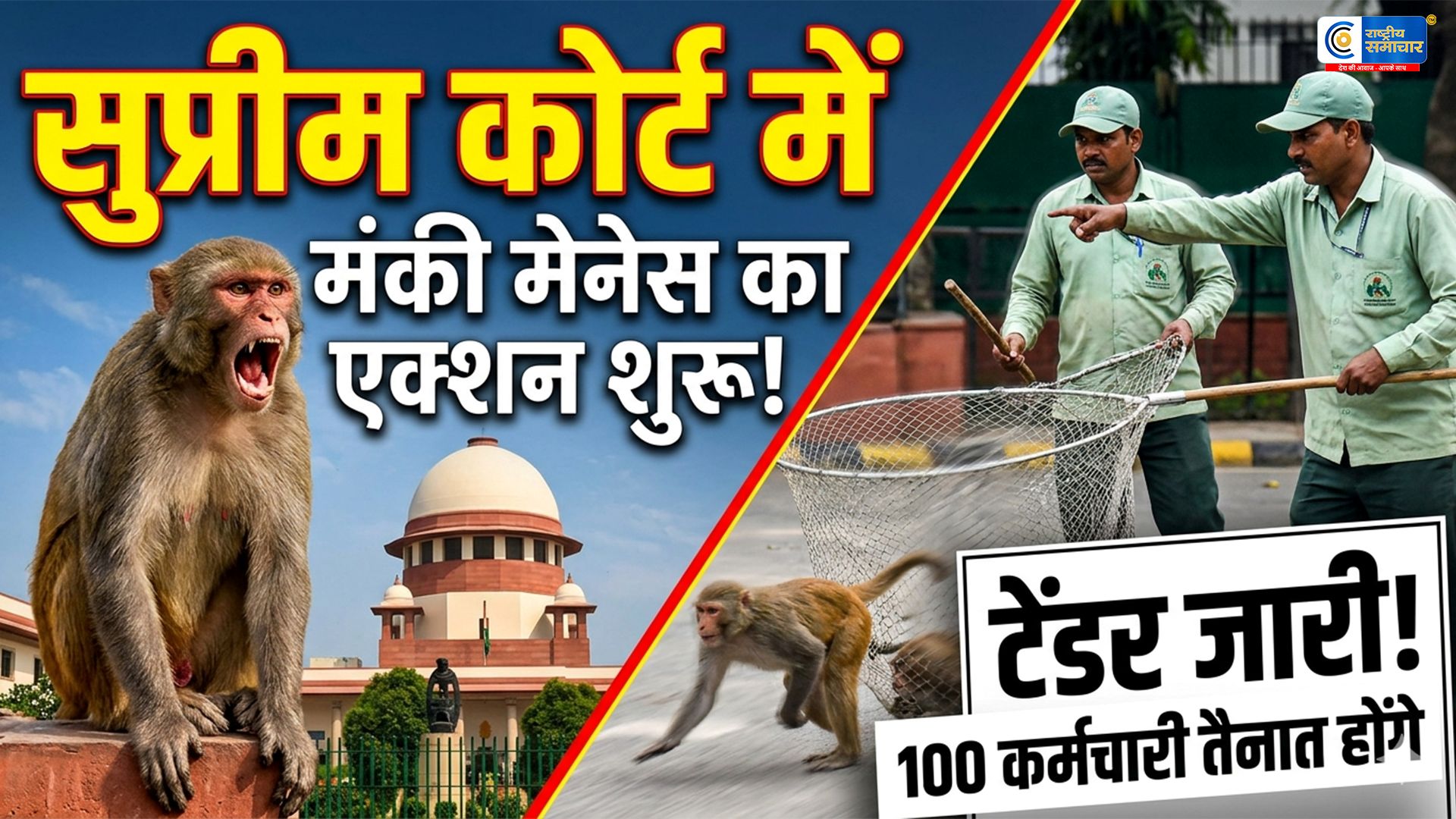 बंदरों से परेशान सुप्रीम कोर्ट, बंदर भगाने वालों के लिए निकला टेंडर