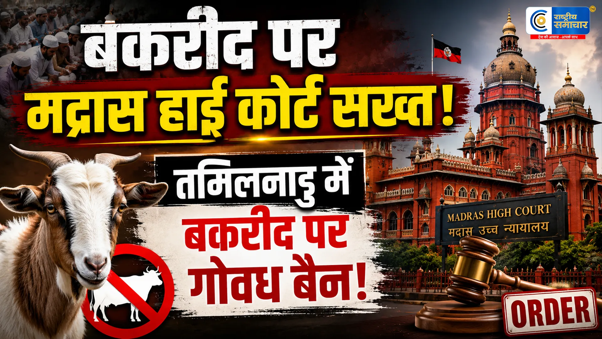 बकरीद पर गाय-बछड़े की कुर्बानी पर सख्ती : मद्रास हाई कोर्ट का बड़ा आदेश, तमिलनाडु सरकार को दिए निर्देश 