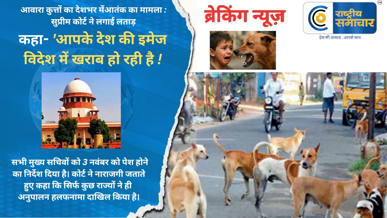 आवारा कुत्तों का देशभर में आतंक का मामला : सुप्रीम कोर्ट ने लगाई लताड़ कहा- 'आपके देश की इमेज विदेश में खराब हो रही है ! 