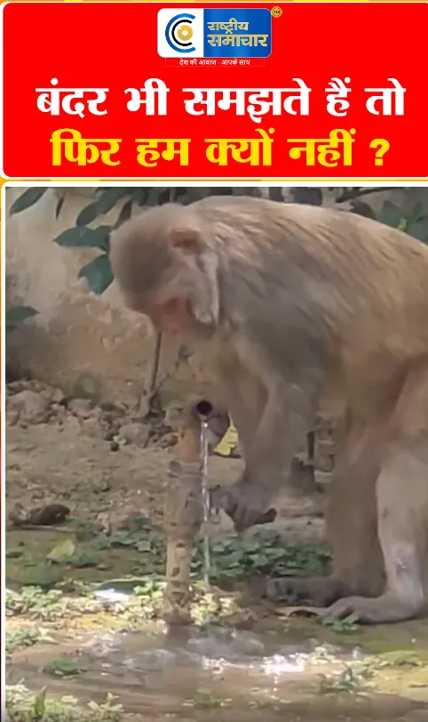 Video Image