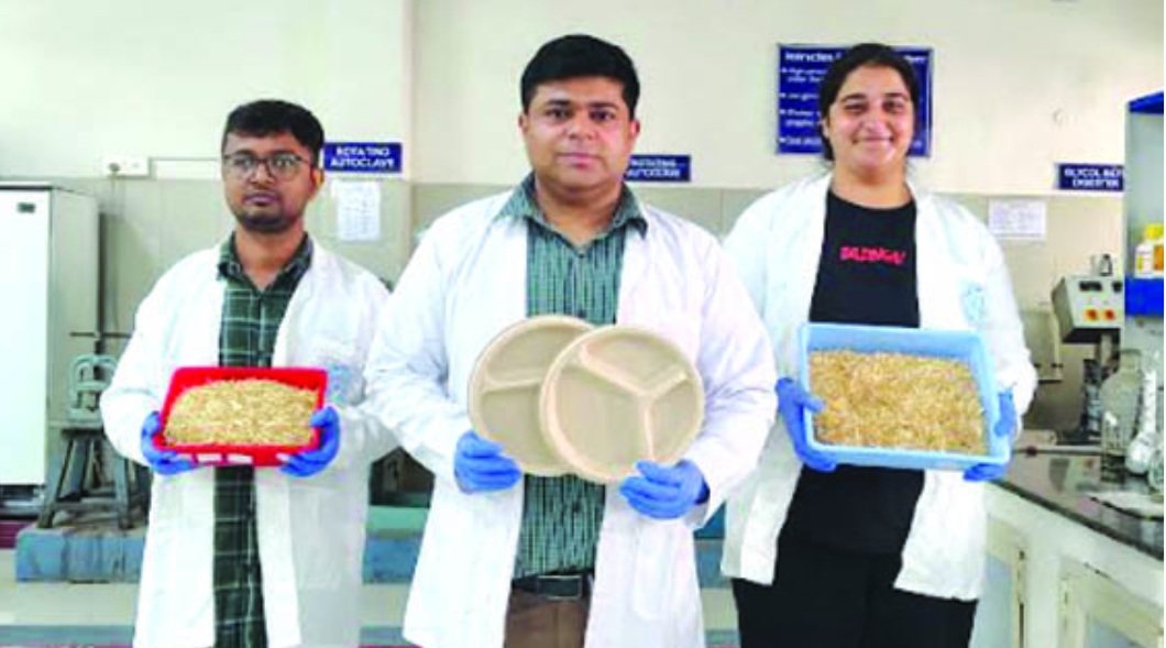 गेहूं के भूसे से बनेंगी प्लेटें, कटोरियां व गिलास : आईआईटी रुड़की के शोधार्थियों ने दिखाया कमाल