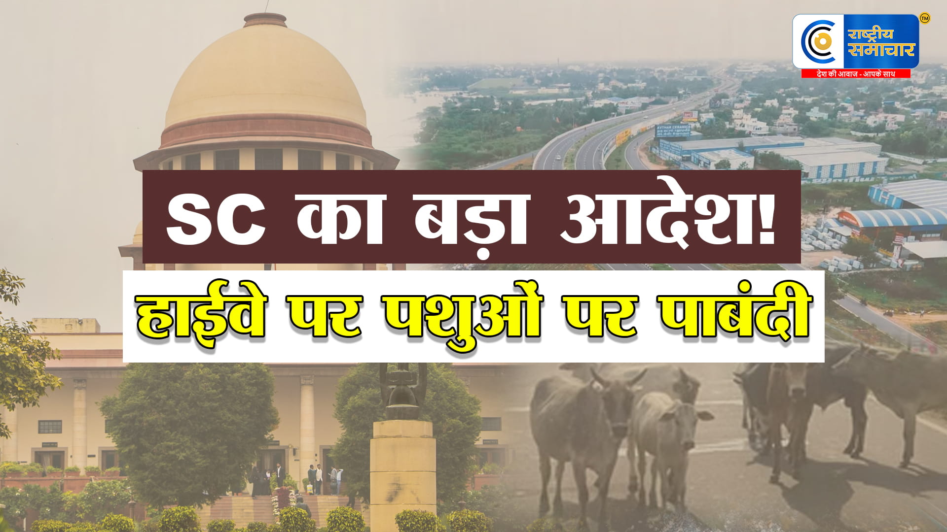 Supreme Court of Indiaहाईवे पर आवारा पशुओ पर सख्त,देशभर में पशुओ की एंट्री रोकने के लिए राष्ट्रीय गाइडलाइन की मांग