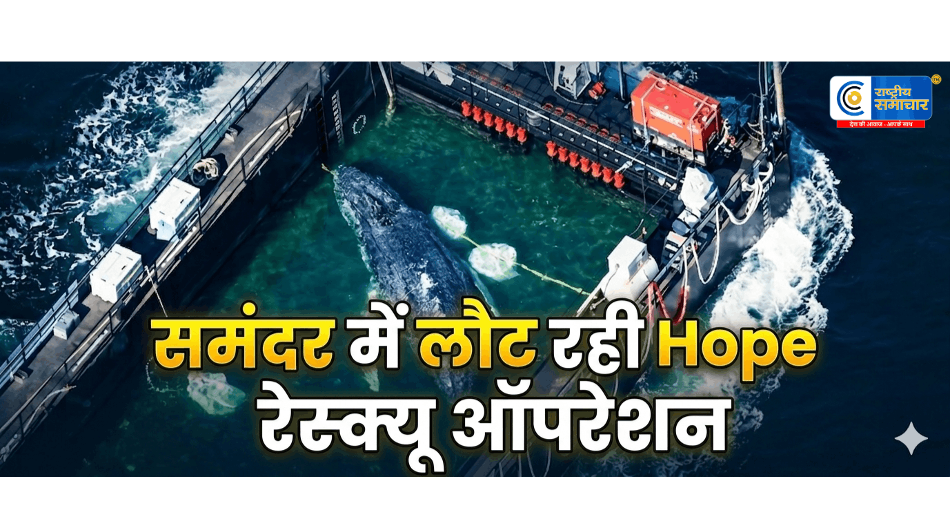 जर्मनी में 5 हफ्ते बाद फंसी व्हेल का रेस्क्यू:बार्ज के जरिए नॉर्थ सी की ओर रवाना,उथले पानी में फंसी हम्पबैक व्हेल को बड़े ऑपरेशन में बचाया गया