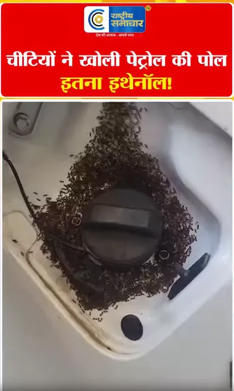 Video Image