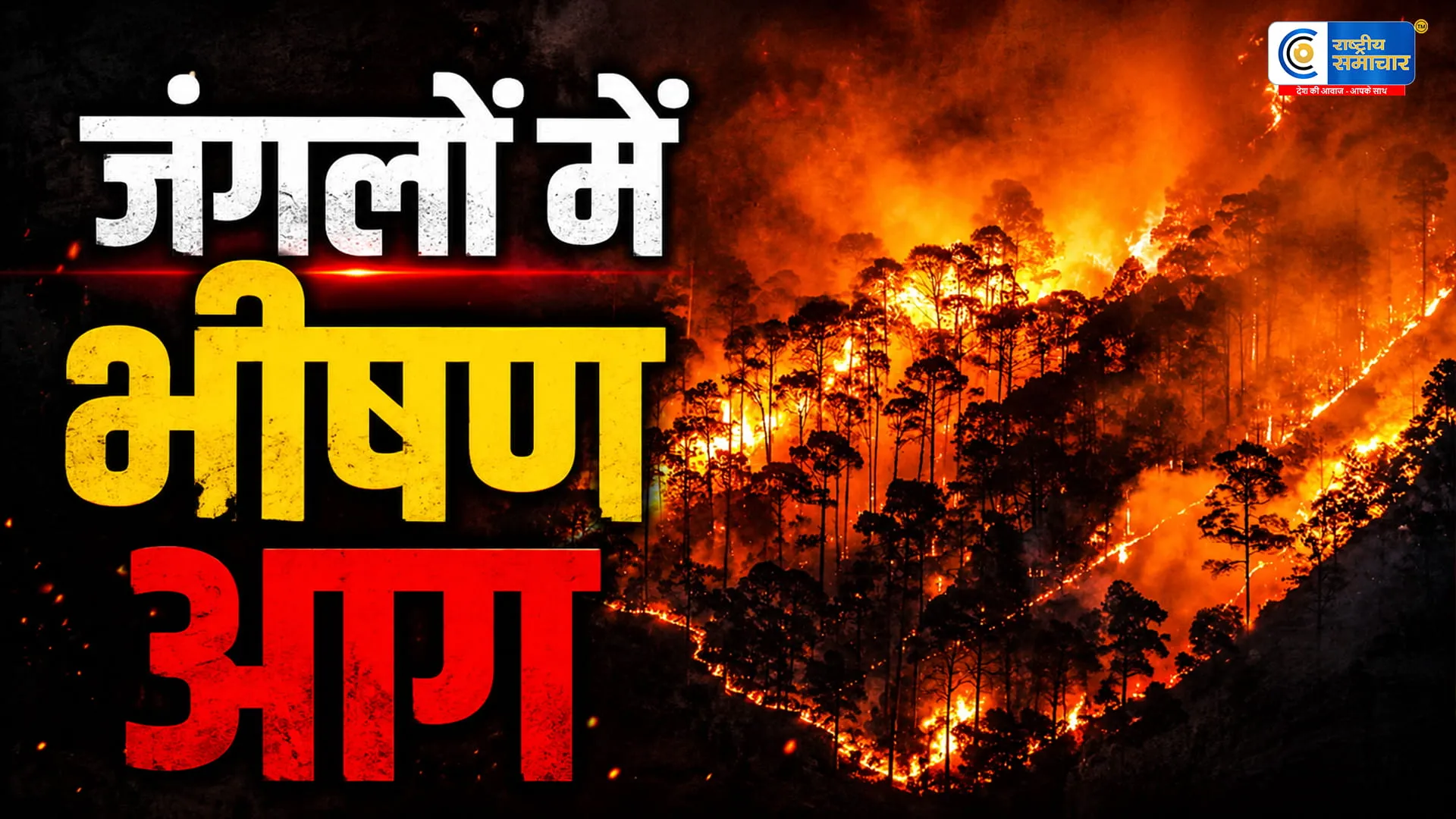 भारत में भीषण जंगलों की आग से हाहाकारहिमालय से लेकर मध्य भारत तक जल रहे वन,सैकड़ों घटनाएं दर्ज 