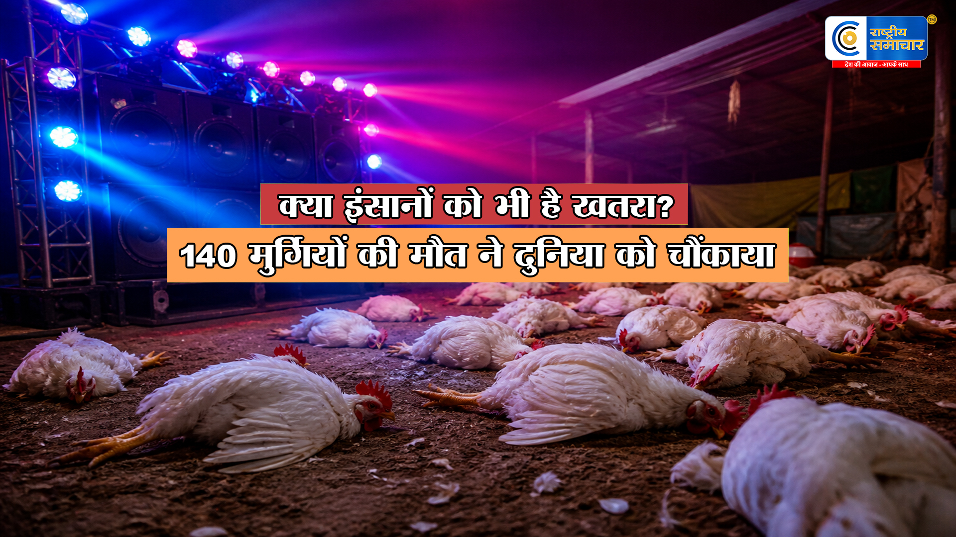 DJ का शोर बना काल:  सुल्तानपुर में 140 मुर्गियों को आया हार्ट अटैक, जानें कितनी तेज आवाज ले सकती है आपकी जान  