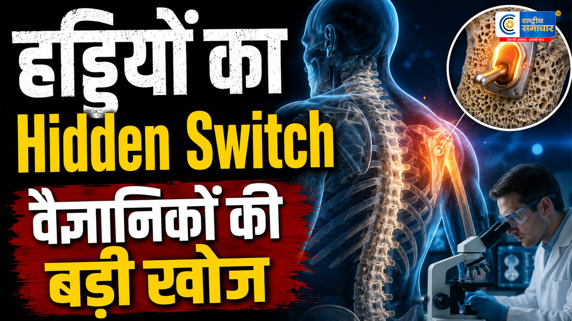हड्डियों को मजबूत बनाने वाला ‘छिपा स्विच’ खोजा गया! वैज्ञानिकों की खोज से इलाज में खुल सकती नई राह